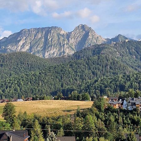 Goralska Antresola Apartament Z Widokiem Na Giewont 考斯赛力克 外观 照片