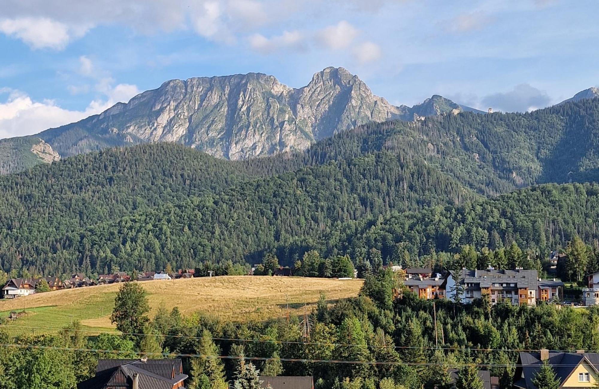 Goralska Antresola Apartament Z Widokiem Na Giewont 考斯赛力克 外观 照片